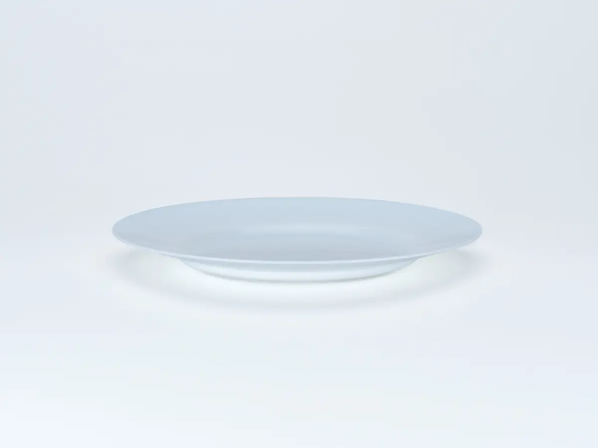 ТАРЕЛКА МЕЛКАЯ стеклокерамическая "Everyday" 24 см  Luminarc 95479